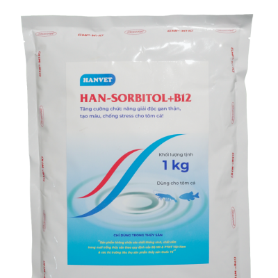 HAN-SORBITOL+B12
