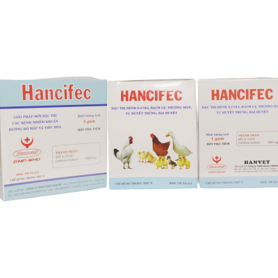 HANCIFEC