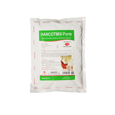 HANCOTMIX-FORTE