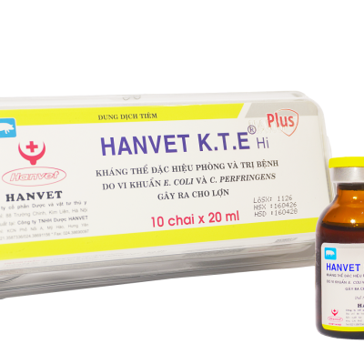 Hanvet K.T.E hi Plus