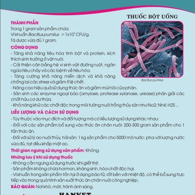 Men vi sinh Bacillus pumilus