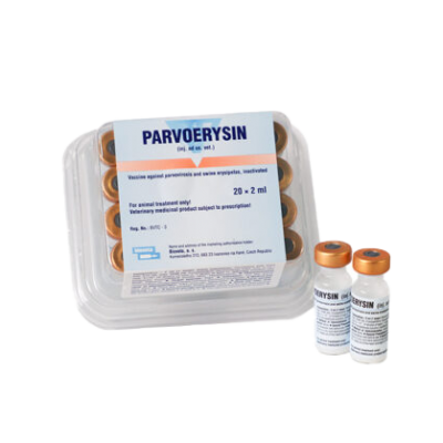 Parvoerysin