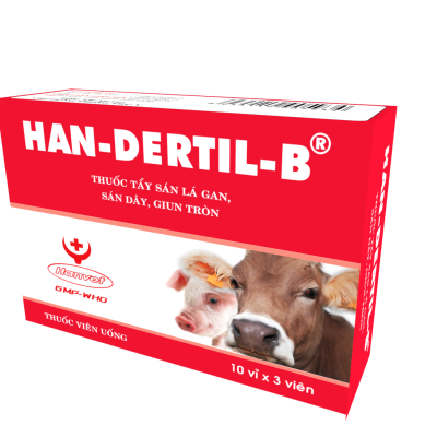 HAN-DERTIL-B