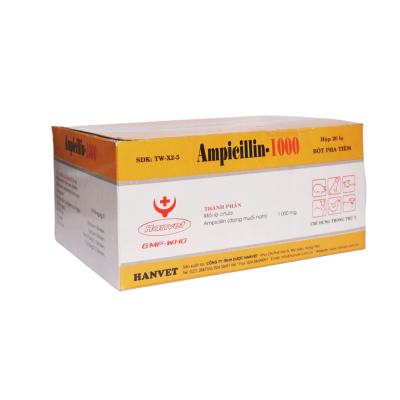 Ampicillin-1000