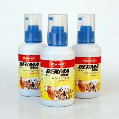 DERMA SPRAY
