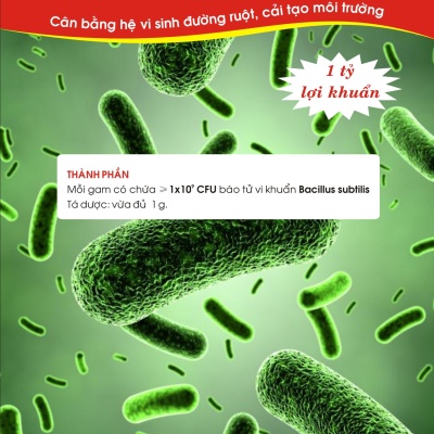 Men vi sinh Bacillus subtilis