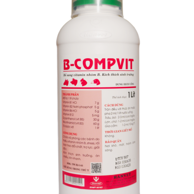 B-COMPVIT