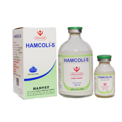 Hamcoli-S