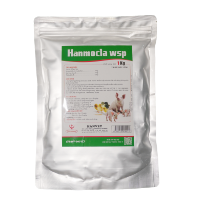 Hanmocla WSP
