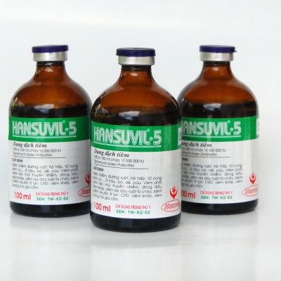 Hansuvil-5