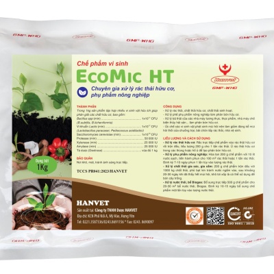 EcoMic HT