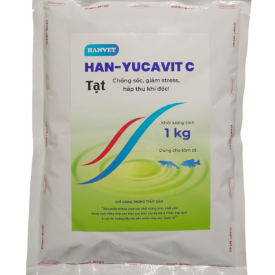 HAN-YUCAVIT C