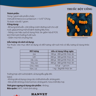 Men vi sinh Enterococcus faecium
