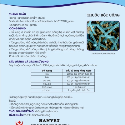 Men vi sinh Lactobacillus acidophilus