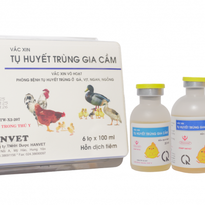 Vắc xin tụ huyết trùng gia cầm