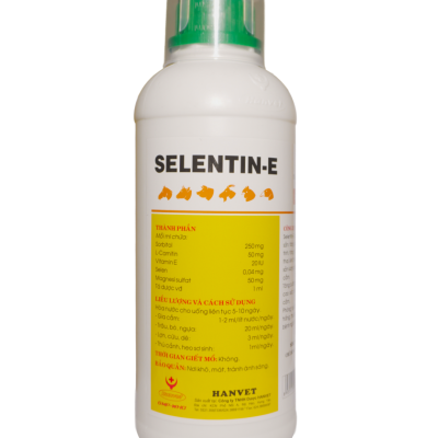 SELENTIN-E