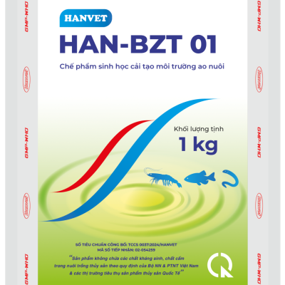 HAN-BZT 01