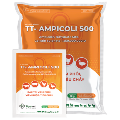 TT- AMPICOLI 500
