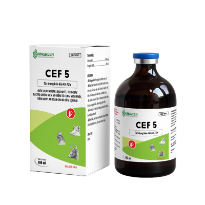 CEF 5