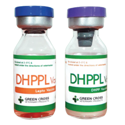 DHPPL Vaccine
