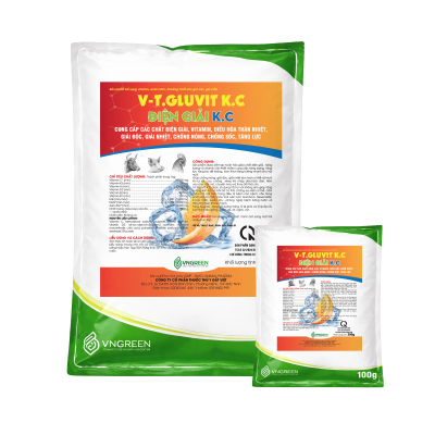 V-T.GLUVIT K.C