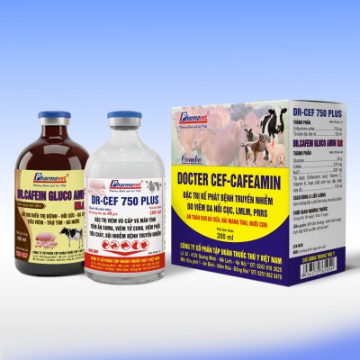 DOCTER CEF-CAFEAMIN