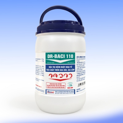 DR-BACI 110