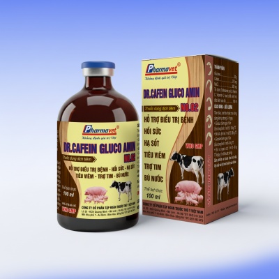 DR-CAFEIN GLUCO AMIN NO.02