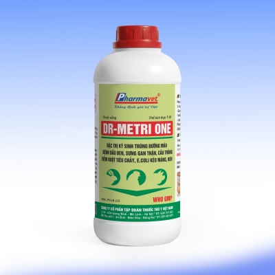 DR-METRI ONE