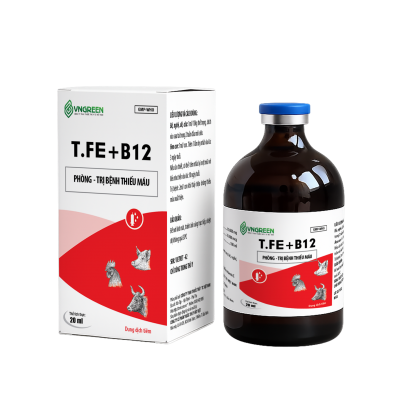 T.FE+B12