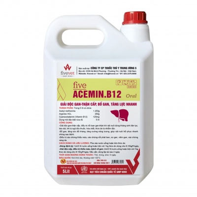 Five-Acemin.B12 Oral