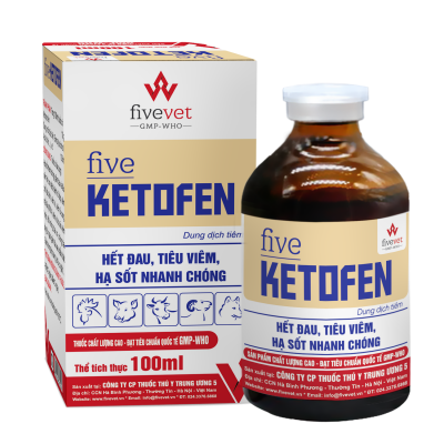 FIVE-KETOFEN