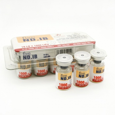 Five-ND.IB