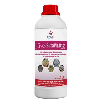 Five-Butavit.B12 TS