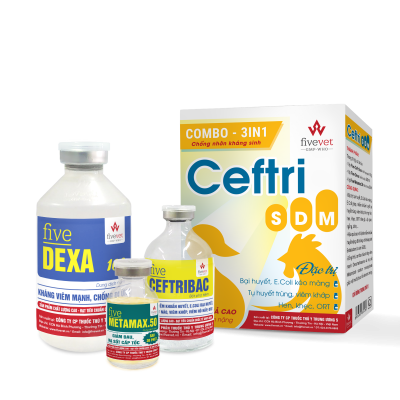 Combo 3in1 CEFTRI SDM