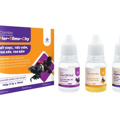 Combo Flor-Tilmo-Chy