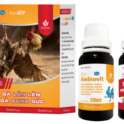Combo gà lỏn lẻn