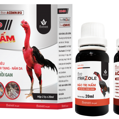 COMBO TRỊ NẤM DÀNH CHO GÀ ĐÁ