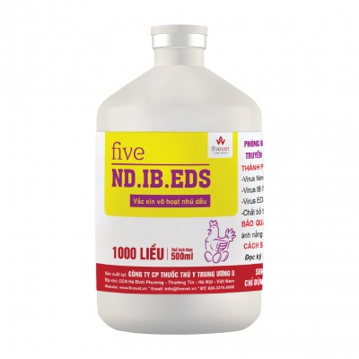 Five-ND.IB.EDS
