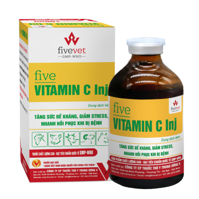 Five-Vitamin C Inj