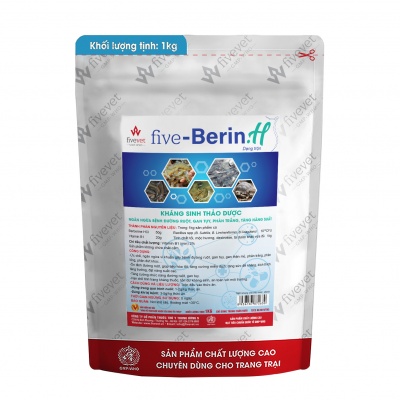 Five-Berin H.TS
