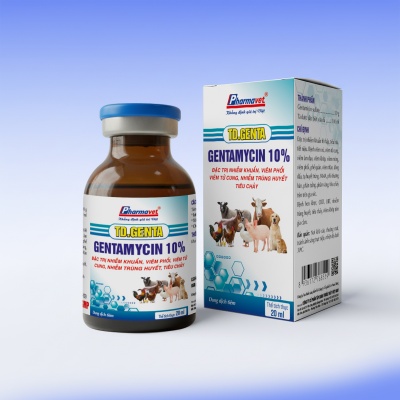 GENTAMYCIN 10%
