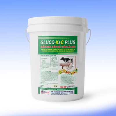 GLUCO-K&C PLUS