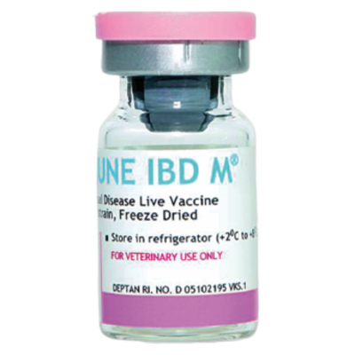 VAKSIMUNE IBD M+