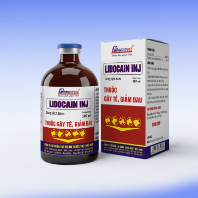 LIDOCAIN INJ