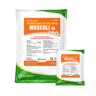 MOXCOLI 50