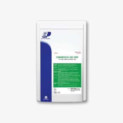 TENAMOXIN 500 WSP