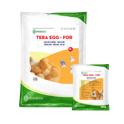 TERA EGG - FOR - Siêu kích trứng, tăng phôi, trứng đẹp, bền mái, đẻ sai