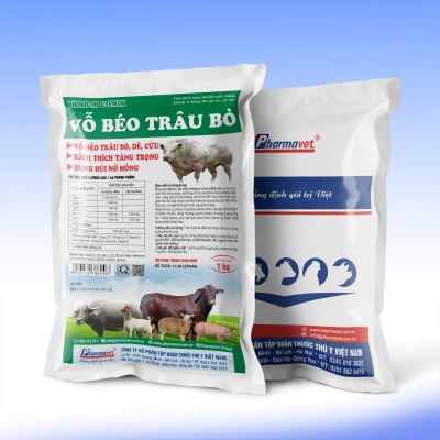 VỖ BÉO TRÂU BÒ