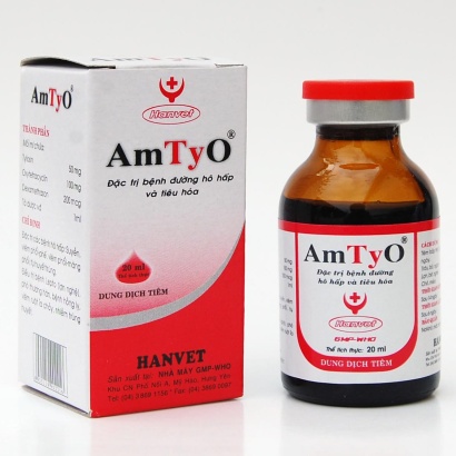 AmtyO